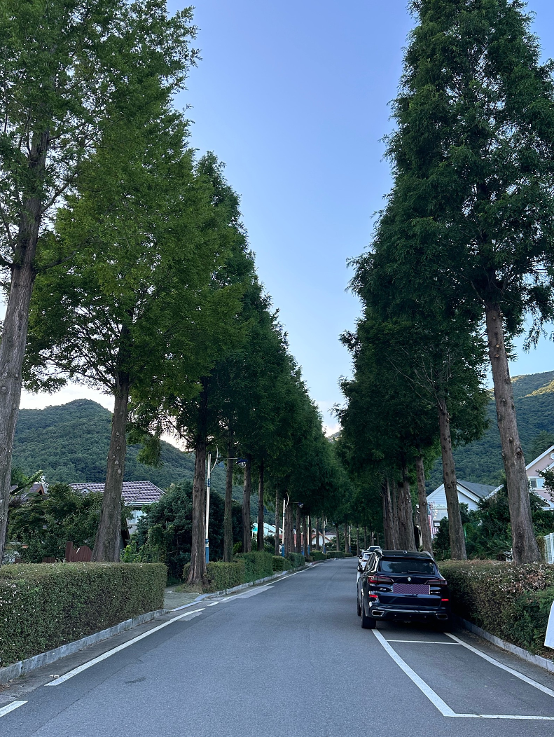 야외, 도로, 하늘, 차량이(가) 표시된 사진
자동 생성된 설명