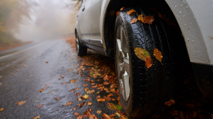 야외, 타이어, 자동차 부품, 차량이(가) 표시된 사진
자동 생성된 설명