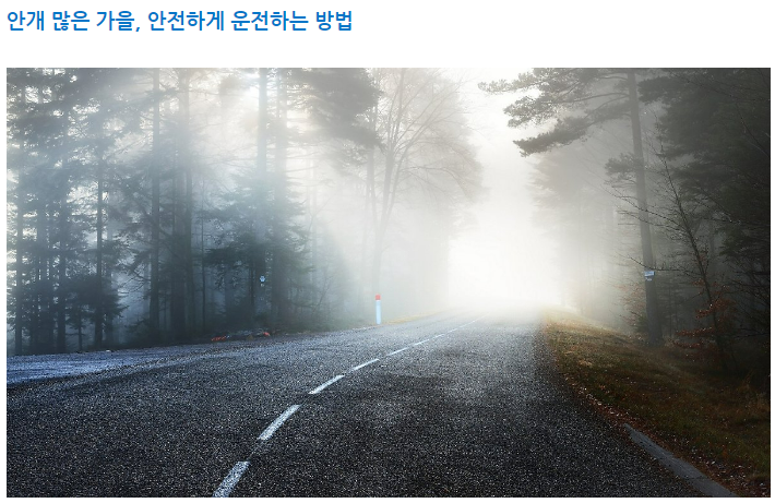 야외, 안개, 나무, 도로이(가) 표시된 사진
자동 생성된 설명