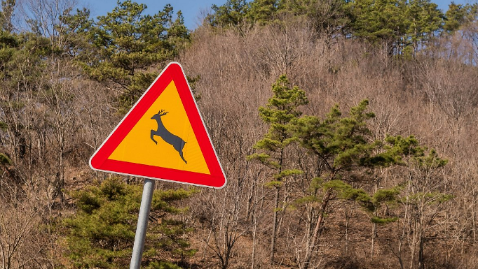 야외, 교통 표지판, 나무, 간판이(가) 표시된 사진
자동 생성된 설명