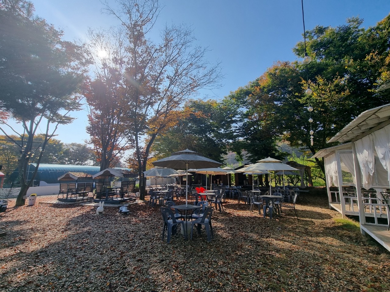 야외, 나무, 하늘, 그늘이(가) 표시된 사진
자동 생성된 설명