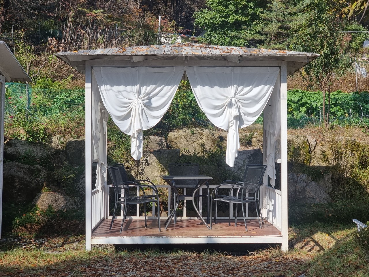 야외, 나무, 식물, 잔디이(가) 표시된 사진
자동 생성된 설명