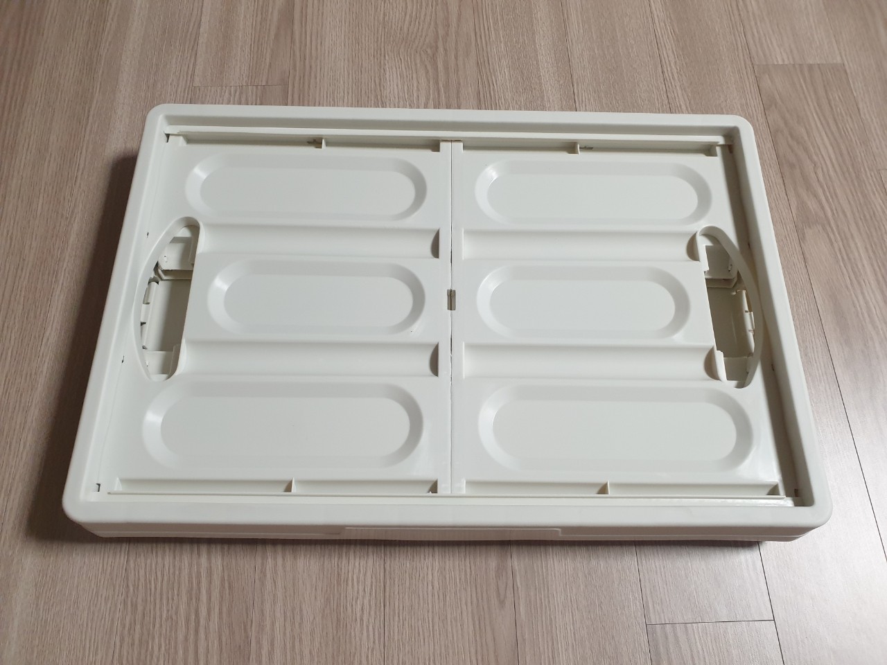 실내, 바닥, 용기, 트레이이(가) 표시된 사진
자동 생성된 설명