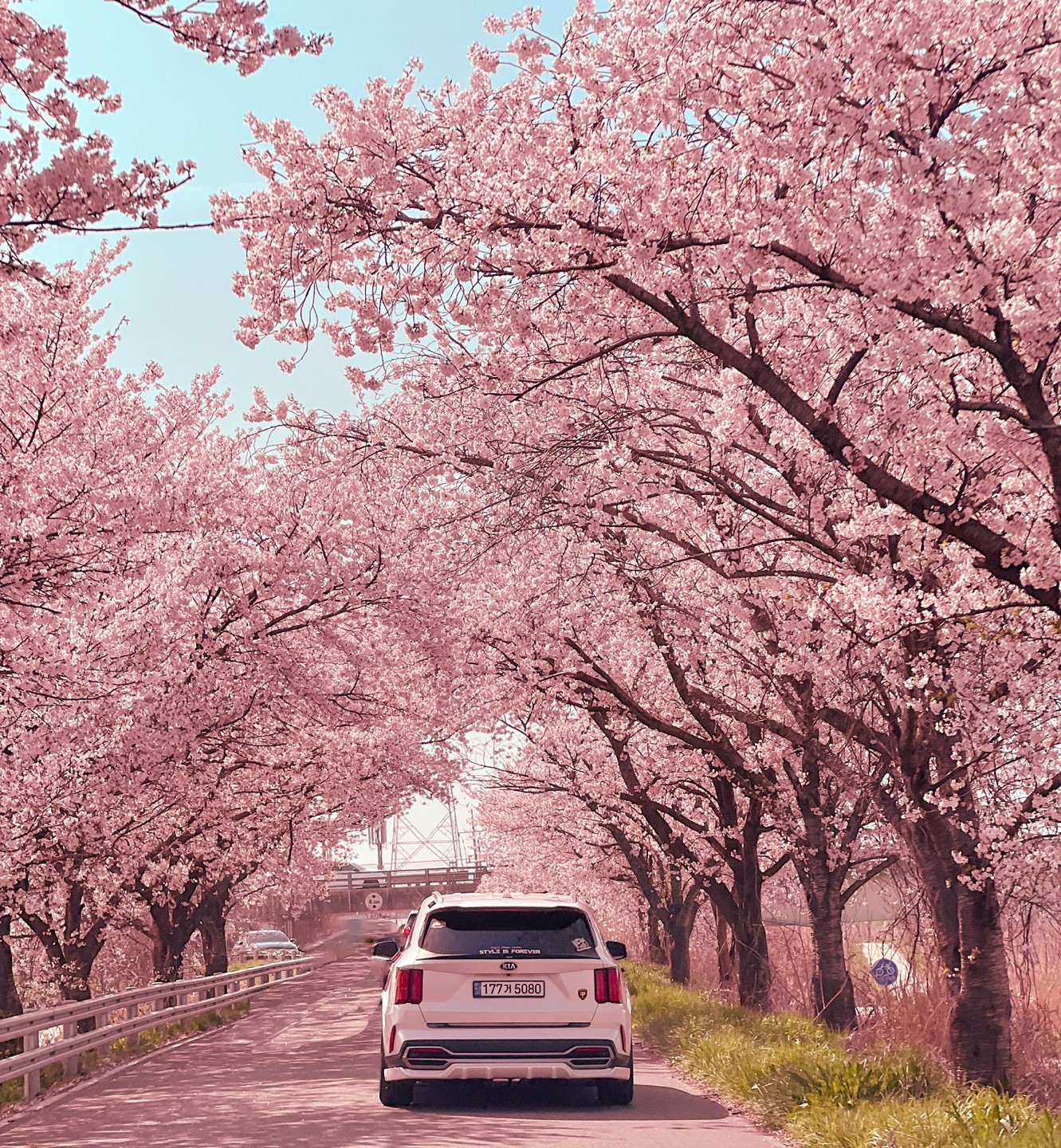 야외, 육상 차량, 차량, 나무이(가) 표시된 사진

자동 생성된 설명