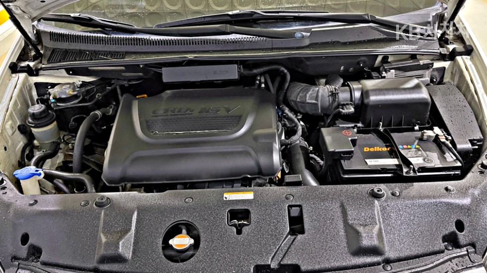 2012 - kia carnival