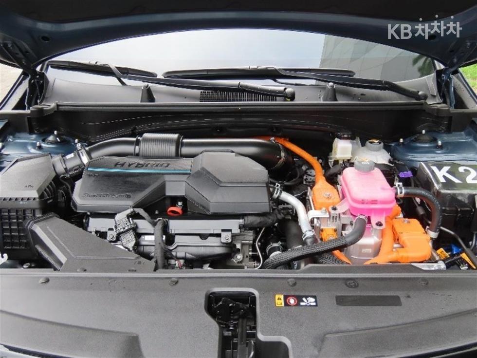2024 - kia sportage