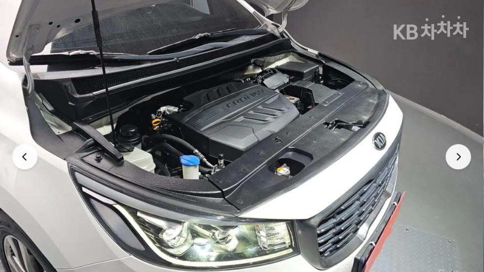 2019 - kia carnival