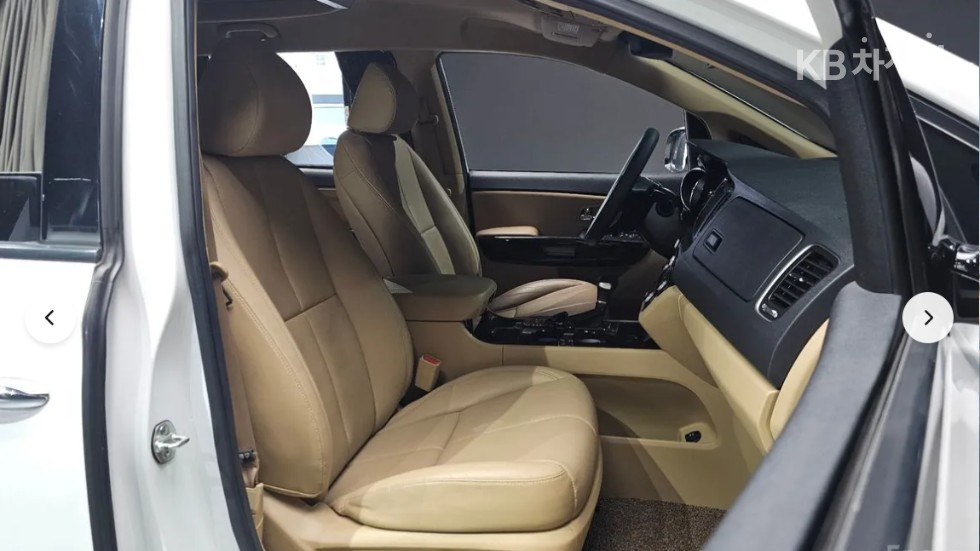 2019 - kia carnival