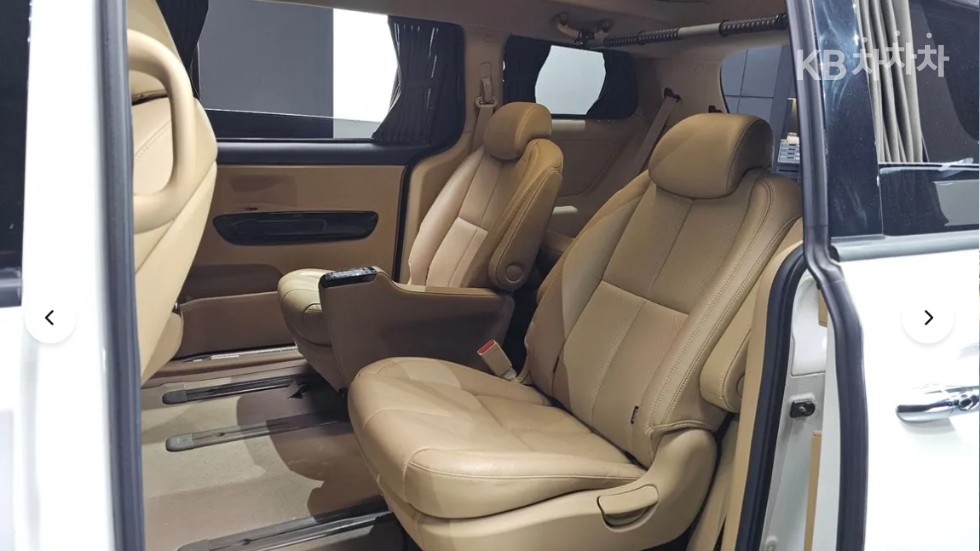 2019 - kia carnival