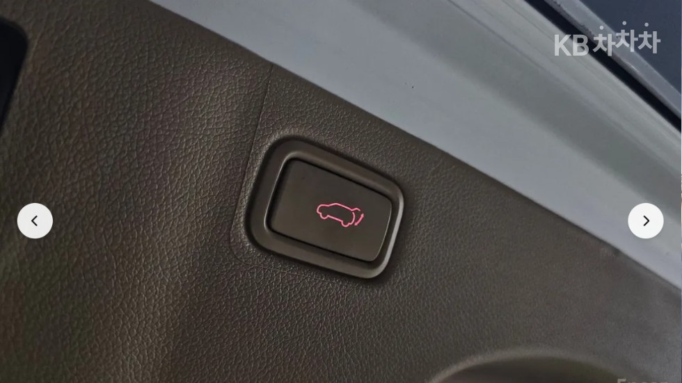 2019 - kia carnival