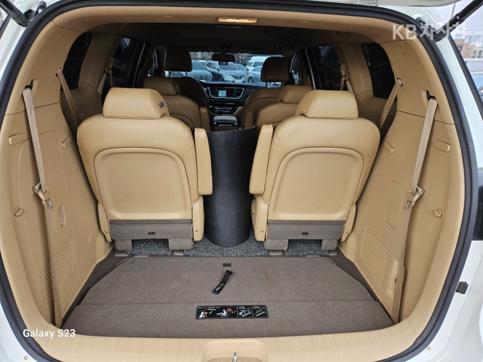 2020 - kia carnival