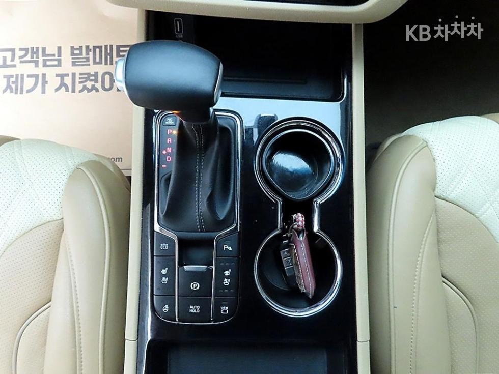 2019 - kia carnival