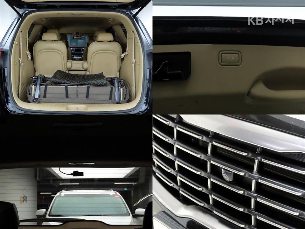 2019 - kia carnival