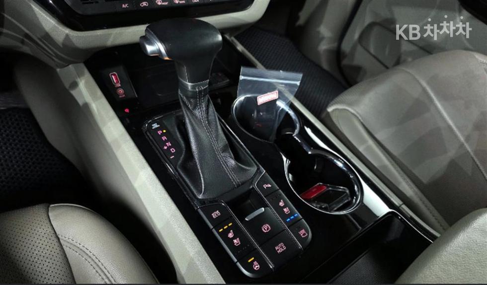 2019 - kia carnival
