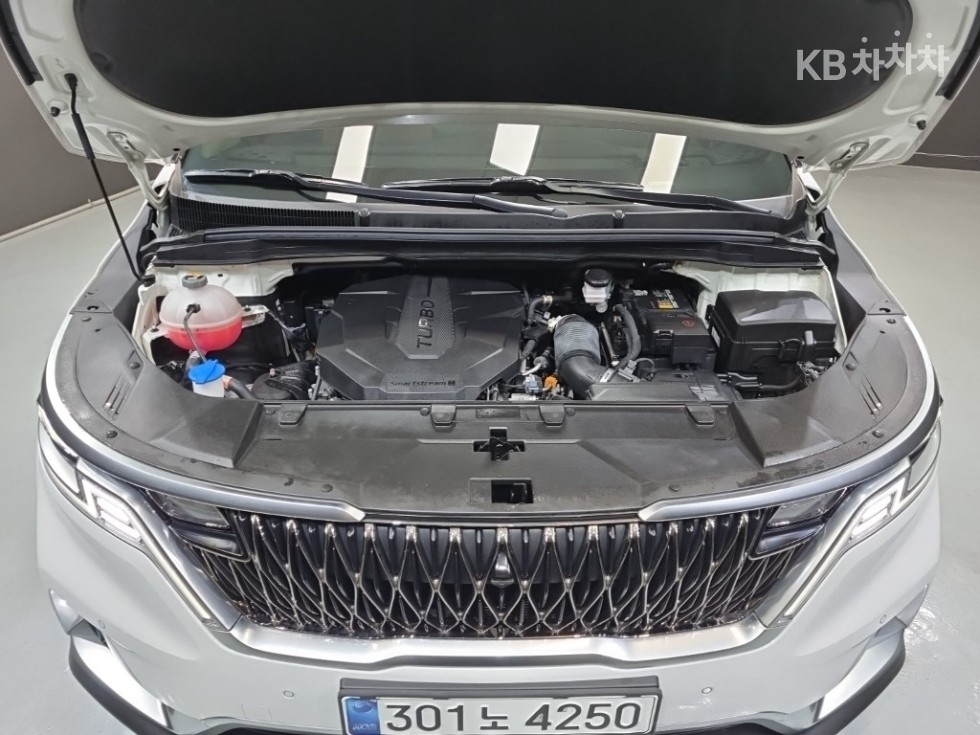 2021 - kia carnival