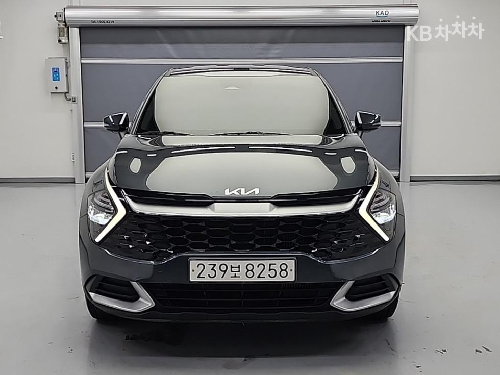 2023 - kia sportage