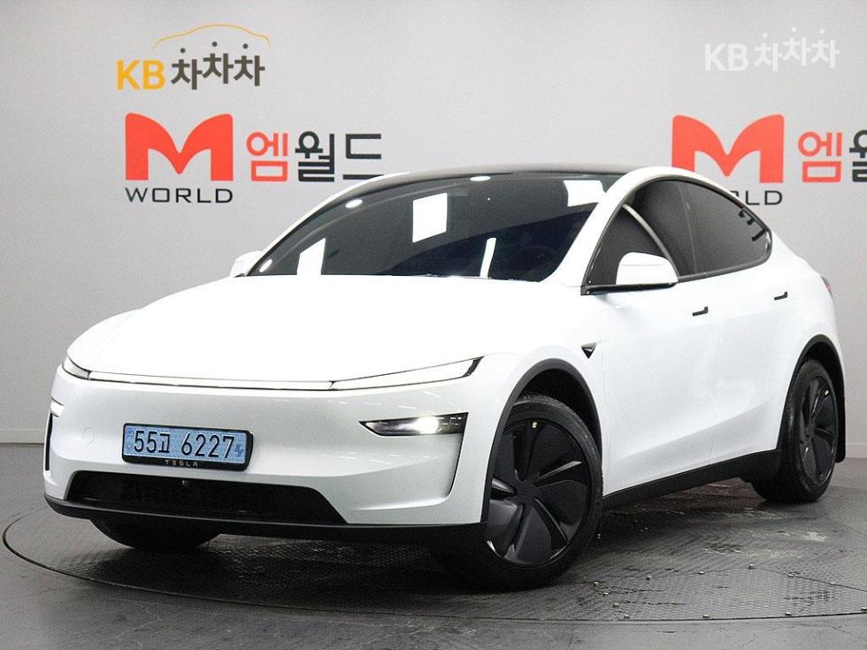 Tesla Model Y RWD 기본형 - фото 1