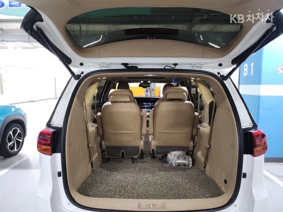 2019 - kia carnival