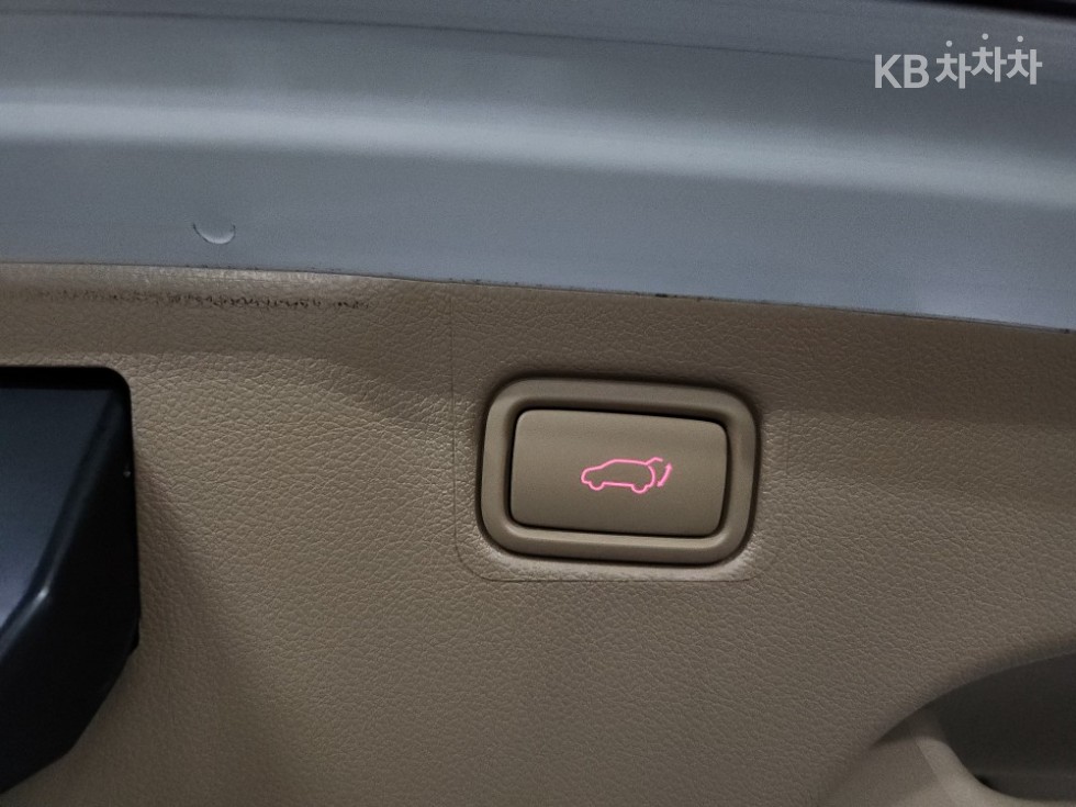 2019 - kia carnival