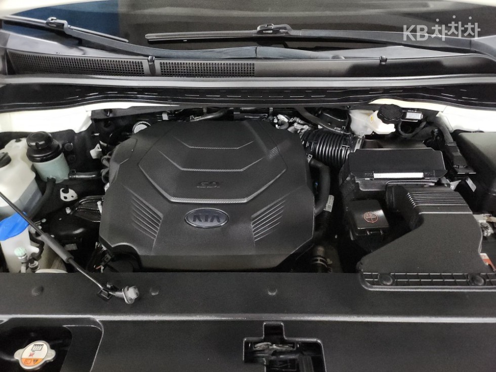 2019 - kia carnival