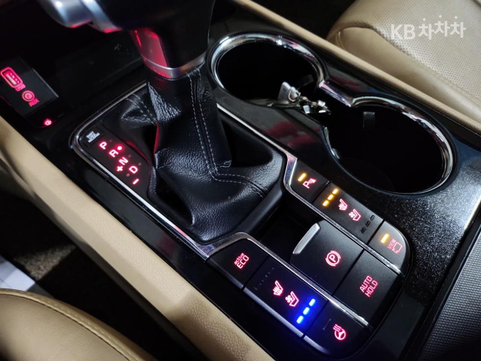 2019 - kia carnival