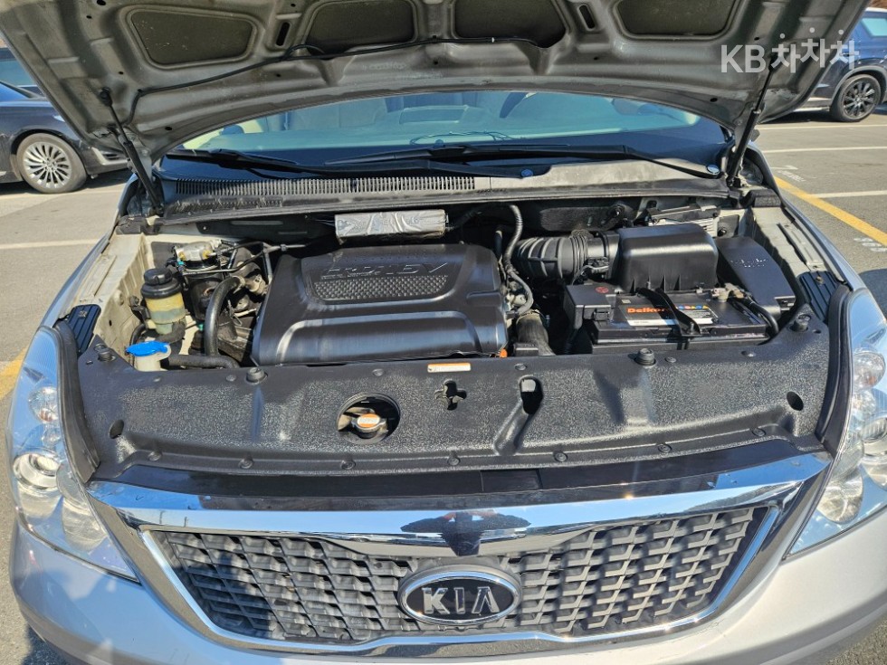 2011 - kia carnival