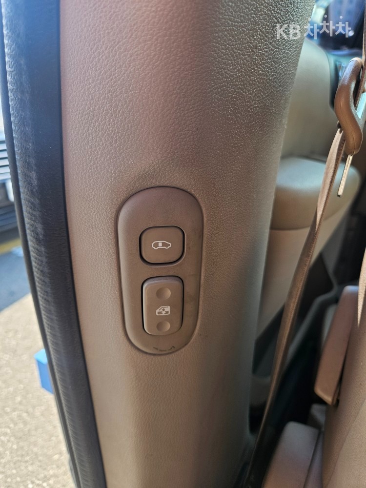 2011 - kia carnival