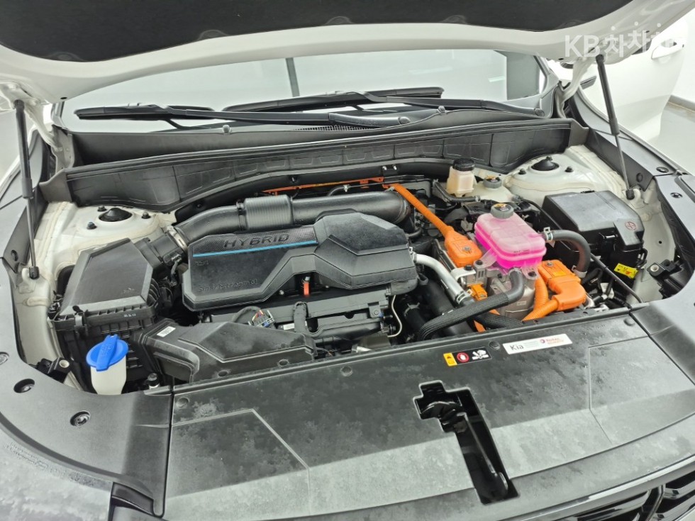 2024 - kia sorento