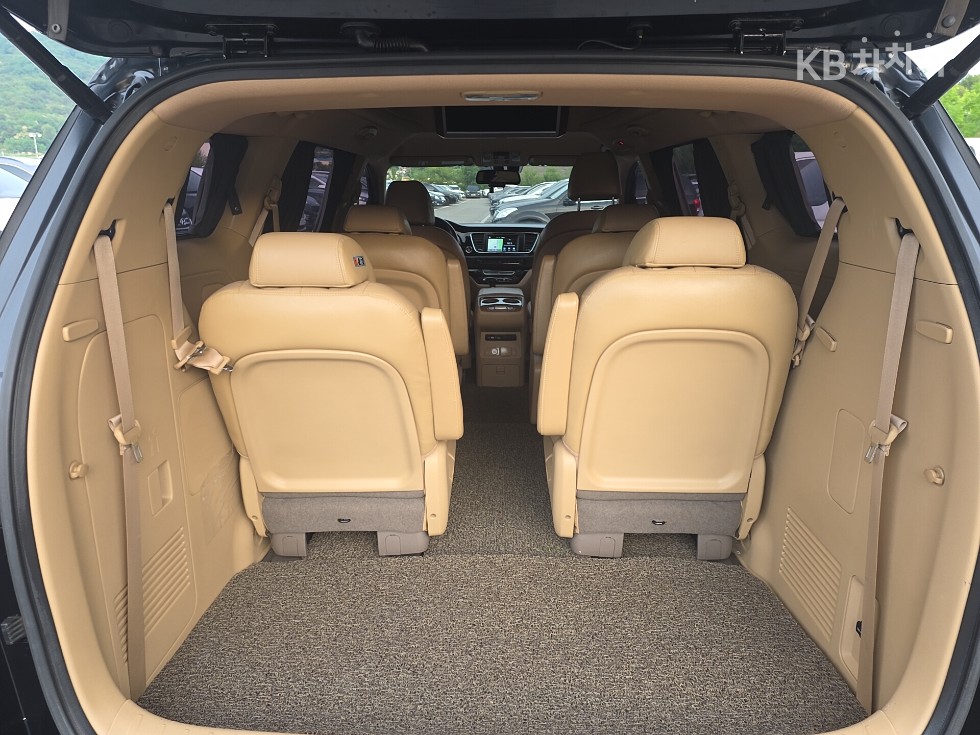 2018 - kia carnival