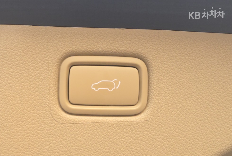 2018 - kia carnival