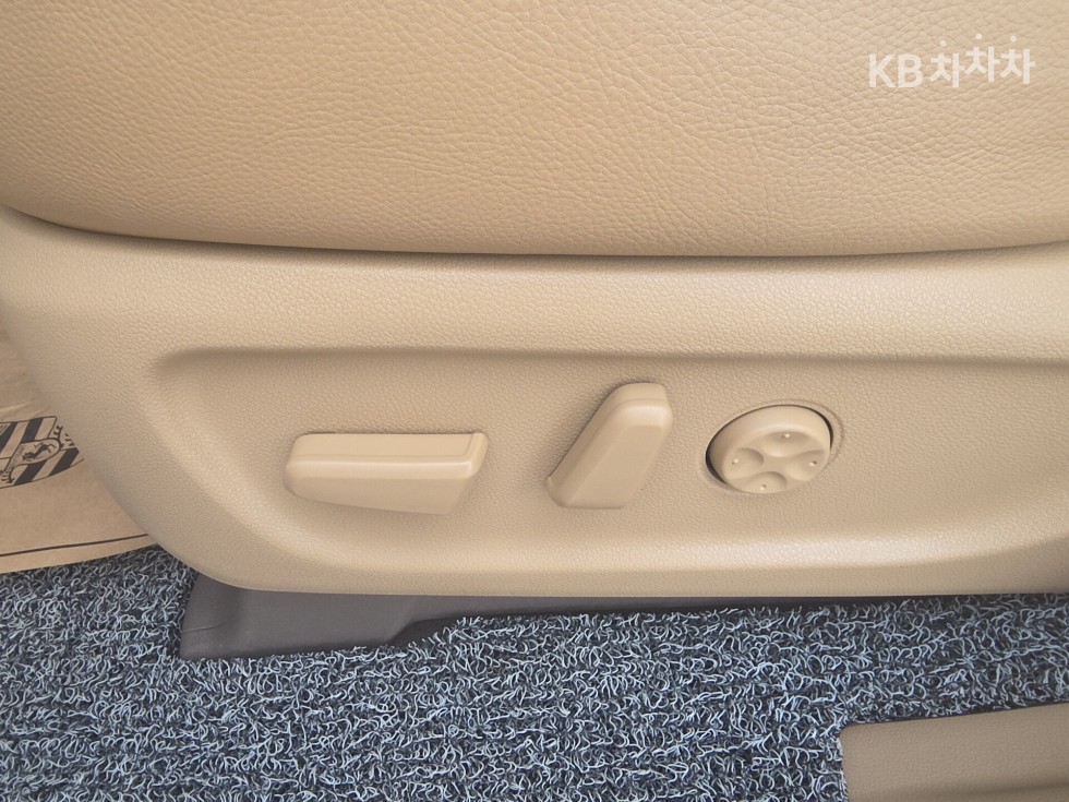 2018 - kia carnival