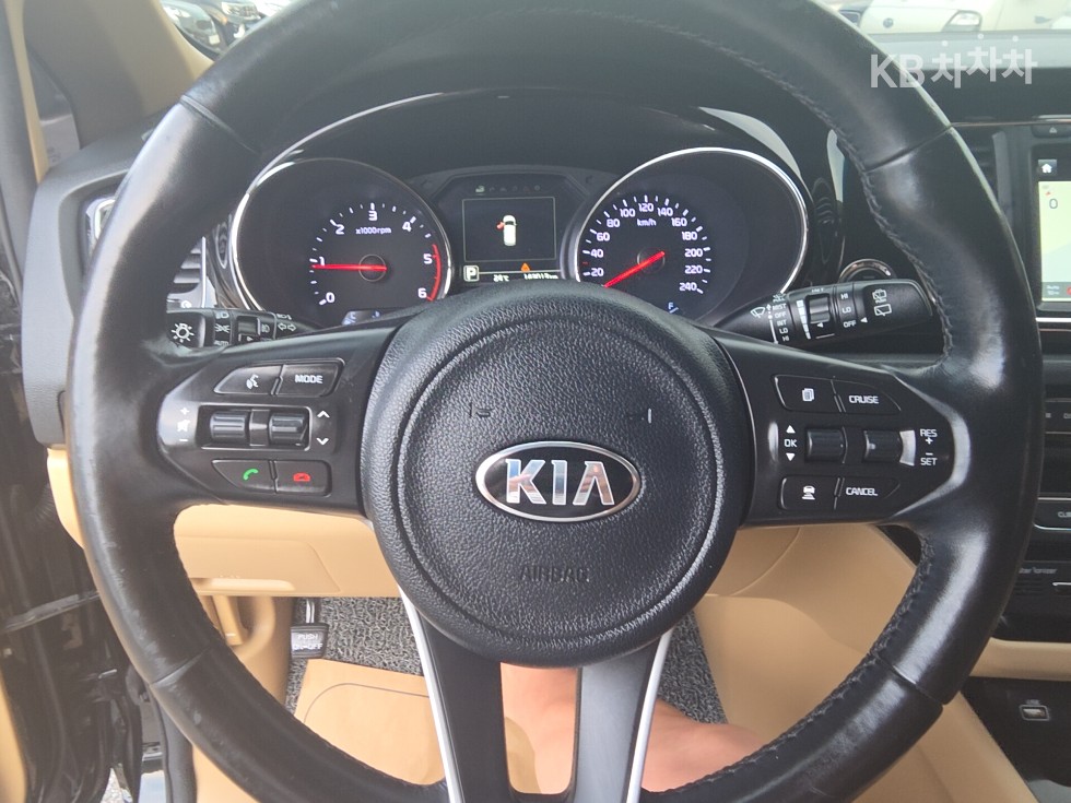 2018 - kia carnival