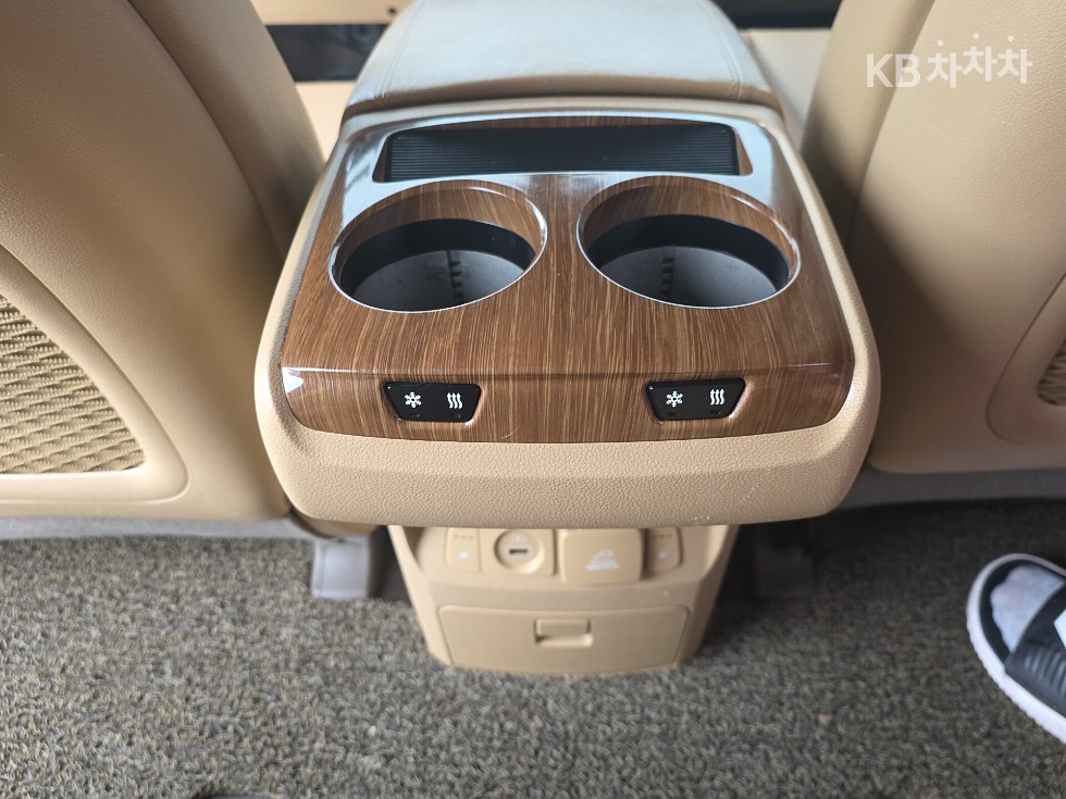 2018 - kia carnival