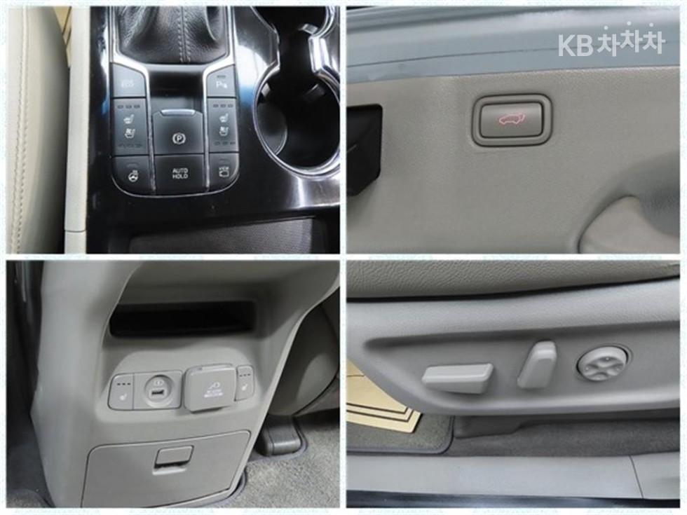 2019 - kia carnival