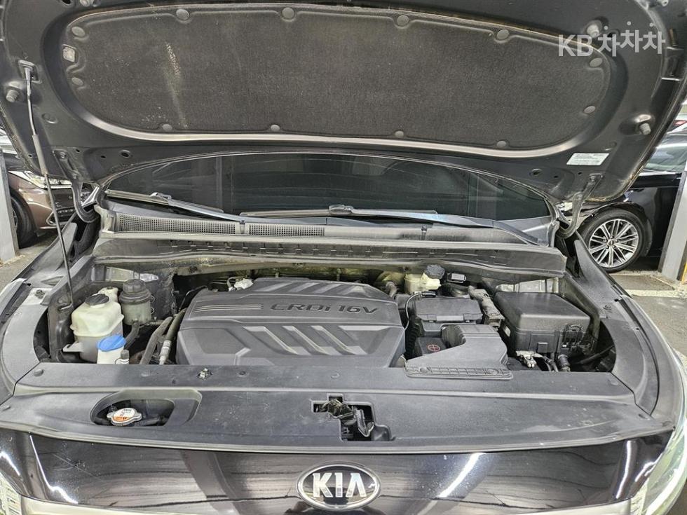 2019 - kia carnival