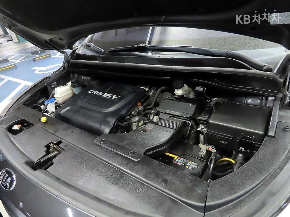 2017 - kia carnival