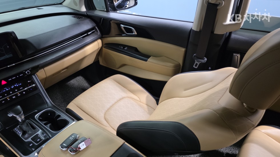 Kia Carnival — miniaturë 12