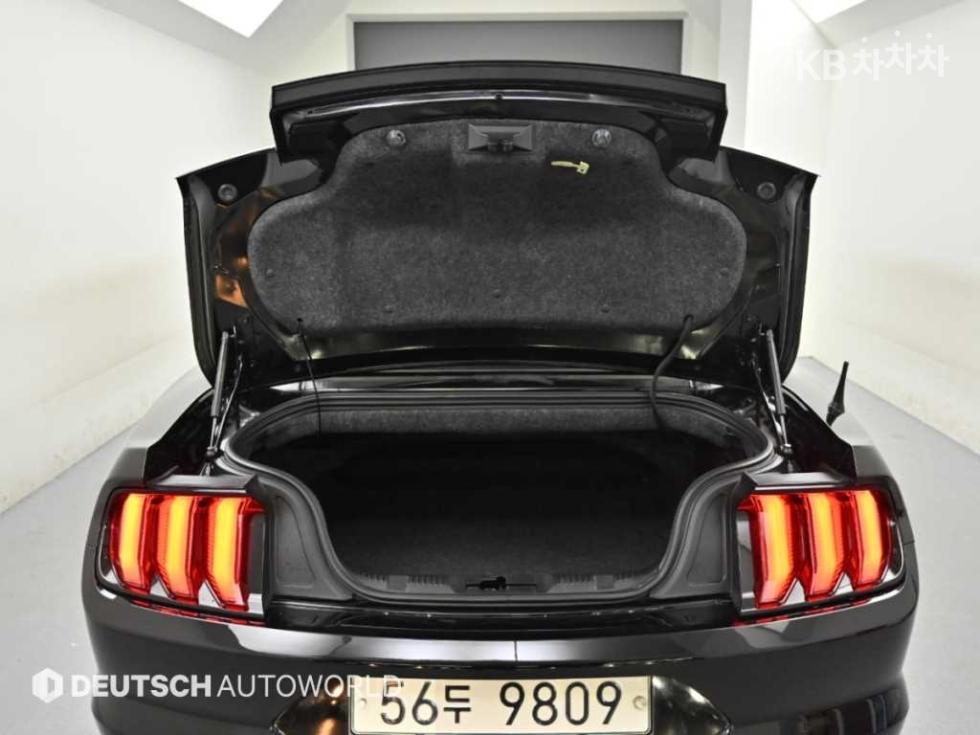 Ford Mustang — miniaturë 18