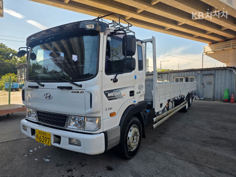 Hyundai 현대5톤 카고 GOLD