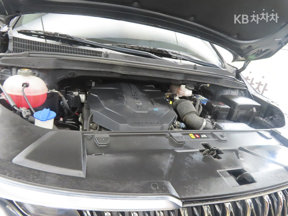 Kia Carnival — miniaturë 19