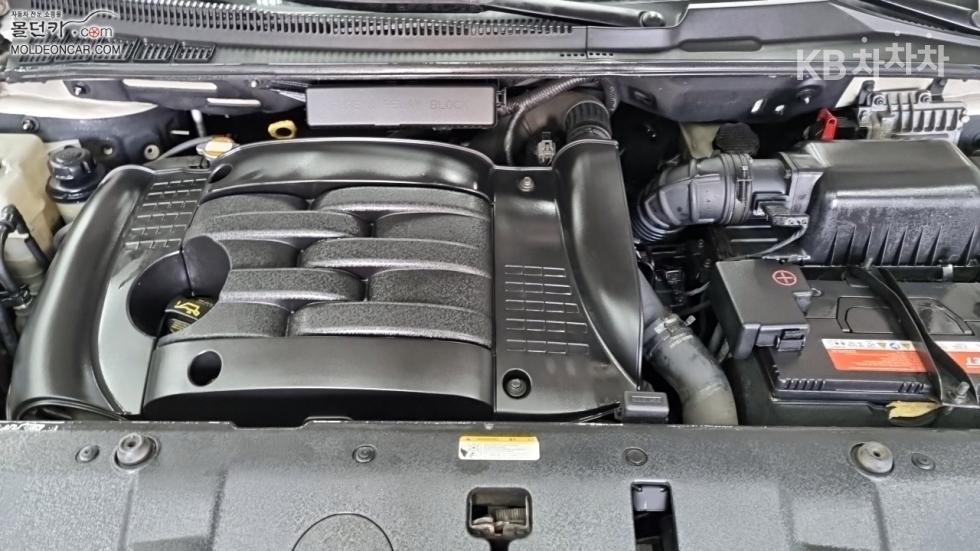 2010 - kia grand carnival