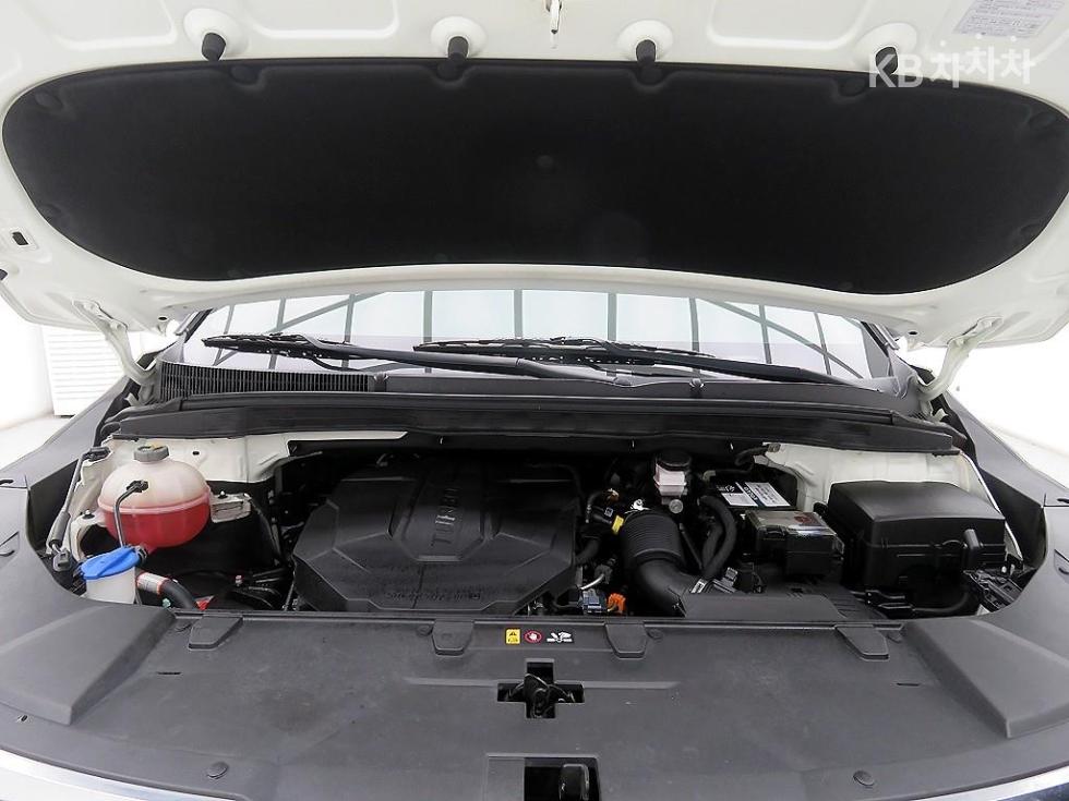 2021 - kia carnival