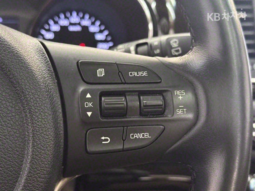 2019 - kia carnival