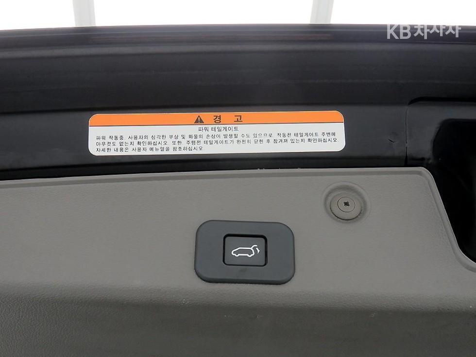 2013 - kia carnival