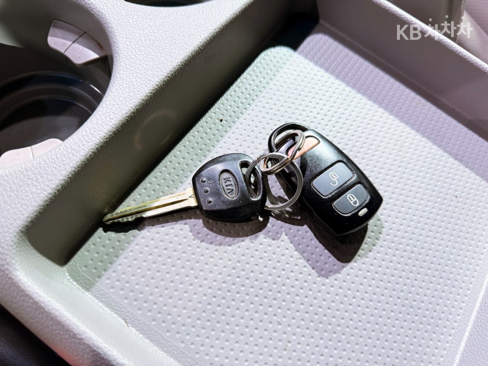 2011 - kia carnival