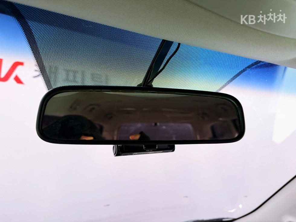 2011 - kia carnival