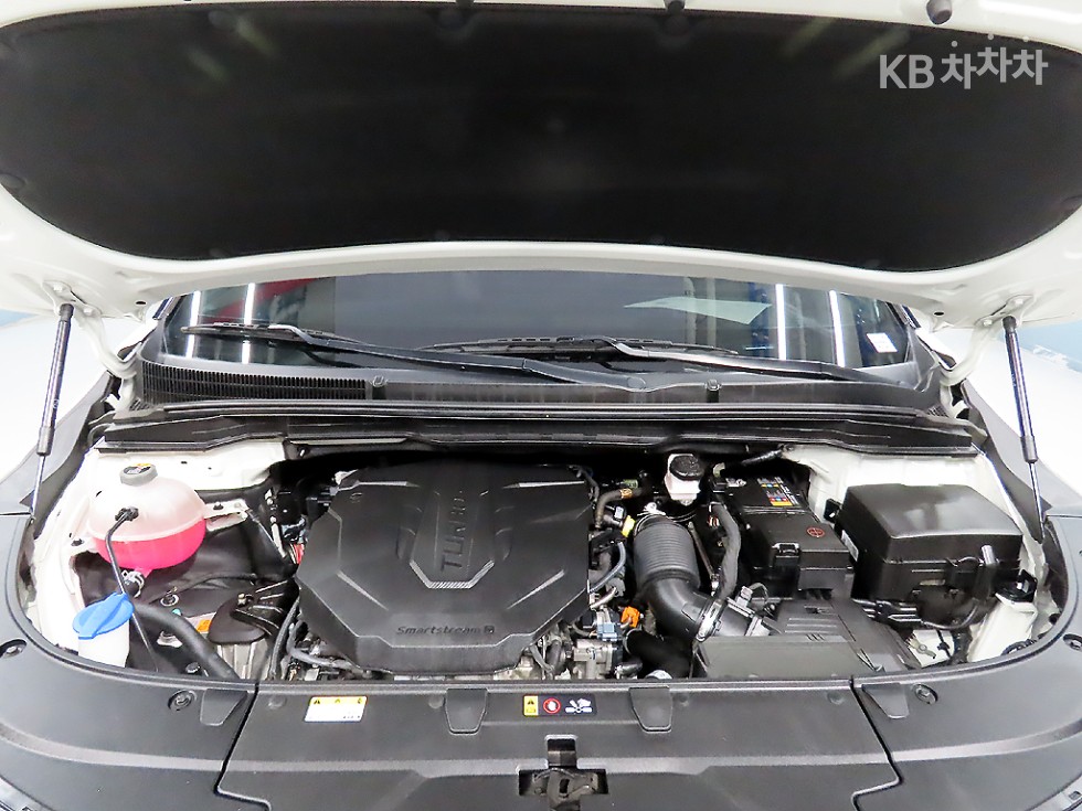 2024 - kia carnival