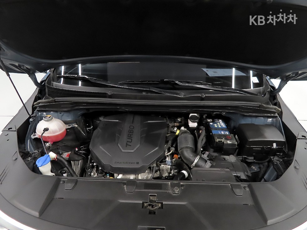 2021 - kia carnival