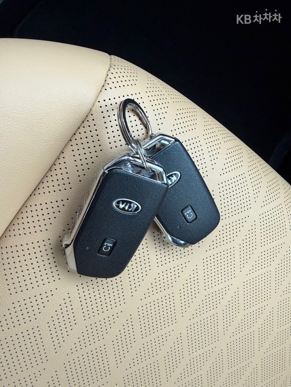 2021 - kia carnival