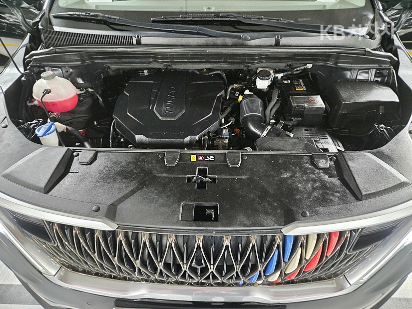 2021 - kia carnival